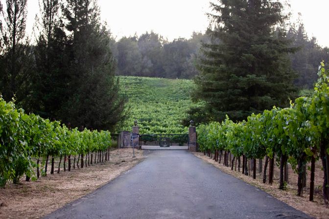 Luxury Villa & 6 Acre Ranch in Sonoma Wine Country: Springwater Pool, Hot Tub, Bocce, Creek & Event Barn image 14