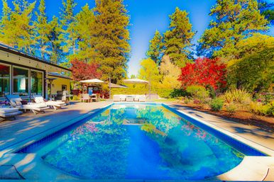Luxury Villa & 6 Acre Ranch in Sonoma Wine Country: Springwater Pool, Hot Tub, Bocce, Creek & Event Barn image 7