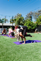 Private Group Yoga with Mimosa Add-on image 5
