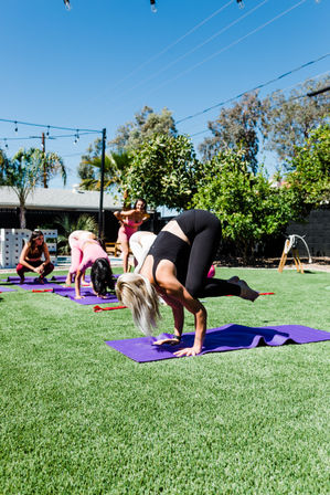 Private Group Yoga with Mimosa Add-on image 5