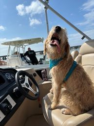 Rent a Private Pontoon Boat for Half a Day in Destin image 3