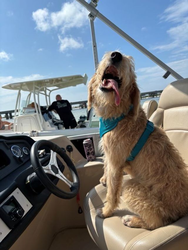 Rent a Private Pontoon Boat for Half a Day in Destin image 3