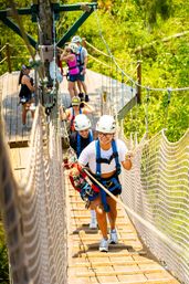 New Orleans Zip Line Swamp Tour image 2