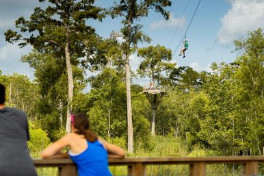 New Orleans Zip Line Swamp Tour image 10