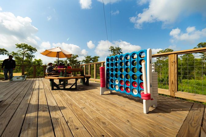 New Orleans Zip Line Swamp Tour image 3