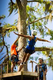 New Orleans Zip Line Swamp Tour image 5
