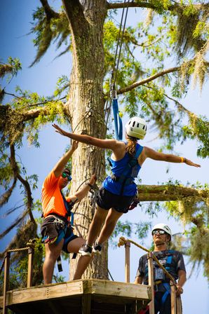 New Orleans Zip Line Swamp Tour image 5