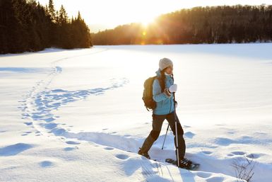 Guided Snowshoe Tour: Half-day image 5