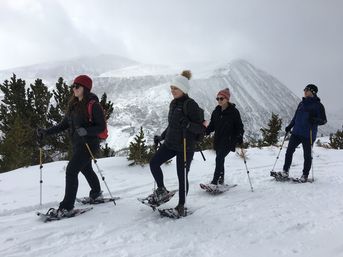 Guided Snowshoe Tour: Half-day image 7