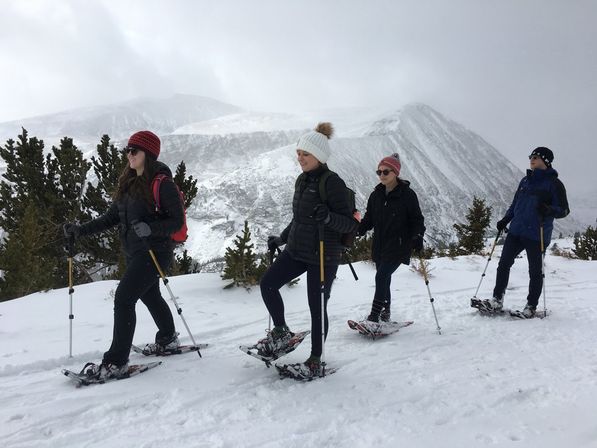 Guided Snowshoe Tour: Half-day image 7