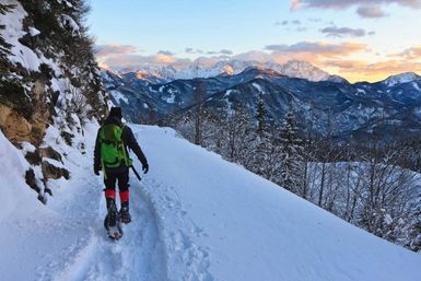 Guided Snowshoe Tour: Half-day image