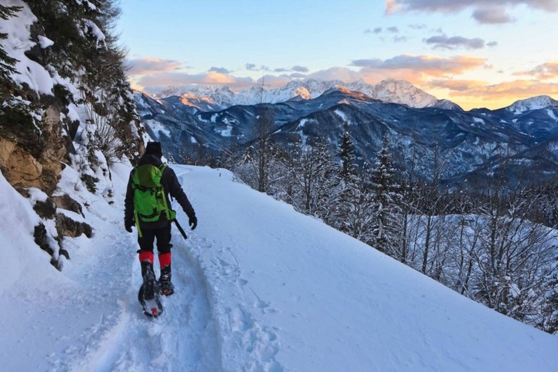 Guided Snowshoe Tour: Half-day image 1