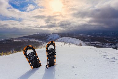 Guided Snowshoe Tour: Half-day image 2