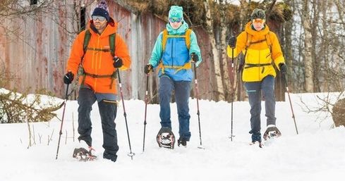 Guided Snowshoe Tour: Half-day image 8