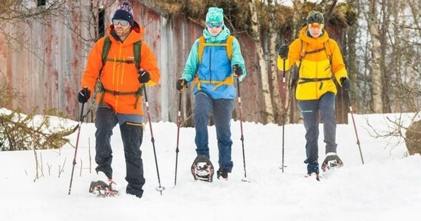 Guided Snowshoe Tour: Half-day image 8