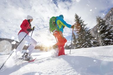 Guided Snowshoe Tour: Half-day image 4