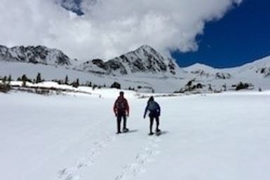 Guided Snowshoe Tour: Half-day image 6