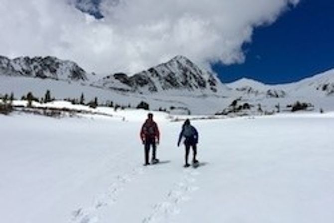 Guided Snowshoe Tour: Half-day image 6