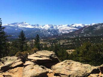 Guided Hike in Rocky Mountain National Park: Colorado’s Alpine Wonderland image 6