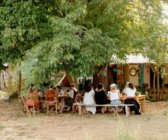 Art Retreat in Oaxaca, Mexico: November 15 -20, 2025 image 1