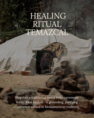 Art Retreat in Oaxaca, Mexico: November 15 -20, 2025 image 7