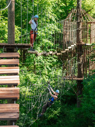 Aerial Adventure Ticket: Long Hollow Canopy Tours in Galena, IL image 3