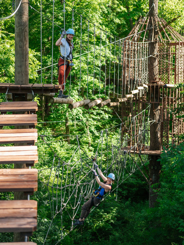 Aerial Adventure Ticket: Long Hollow Canopy Tours in Galena, IL image 3