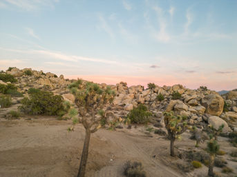Mars Landing: 4-Bedroom Rental with Fire Pit, Pool & Spa Near Joshua Tree National Park image 9
