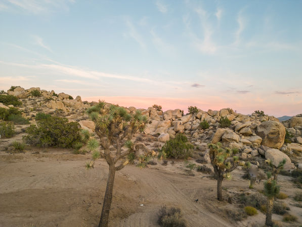 Mars Landing: 4-Bedroom Rental with Fire Pit, Pool & Spa Near Joshua Tree National Park image 9