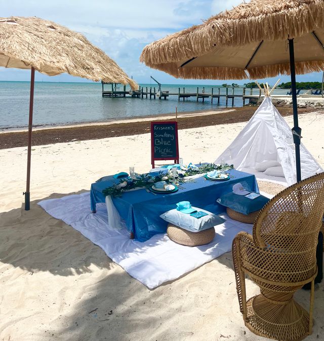 Beachy Vibe Luxury Picnic with the Guest of Honor in Front of the Soothing Sea image 5