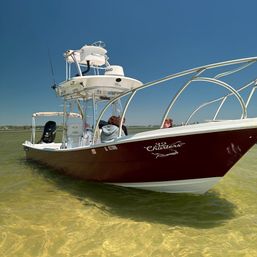 Offshore Spearfishing Experience in Orange Beach, AL image 6