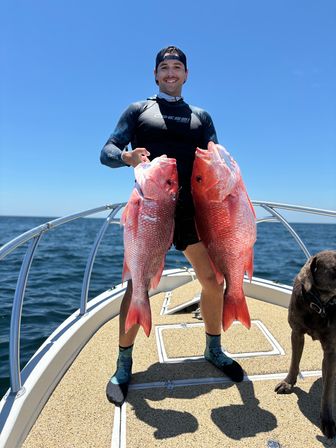 Offshore Spearfishing Experience in Orange Beach, AL image 7