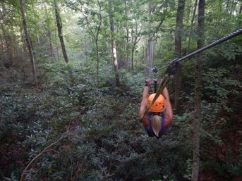 The Gorge Zipline NC: 11 Zips, 3 Rappels, and a Skybridge Canopy Tour image 8