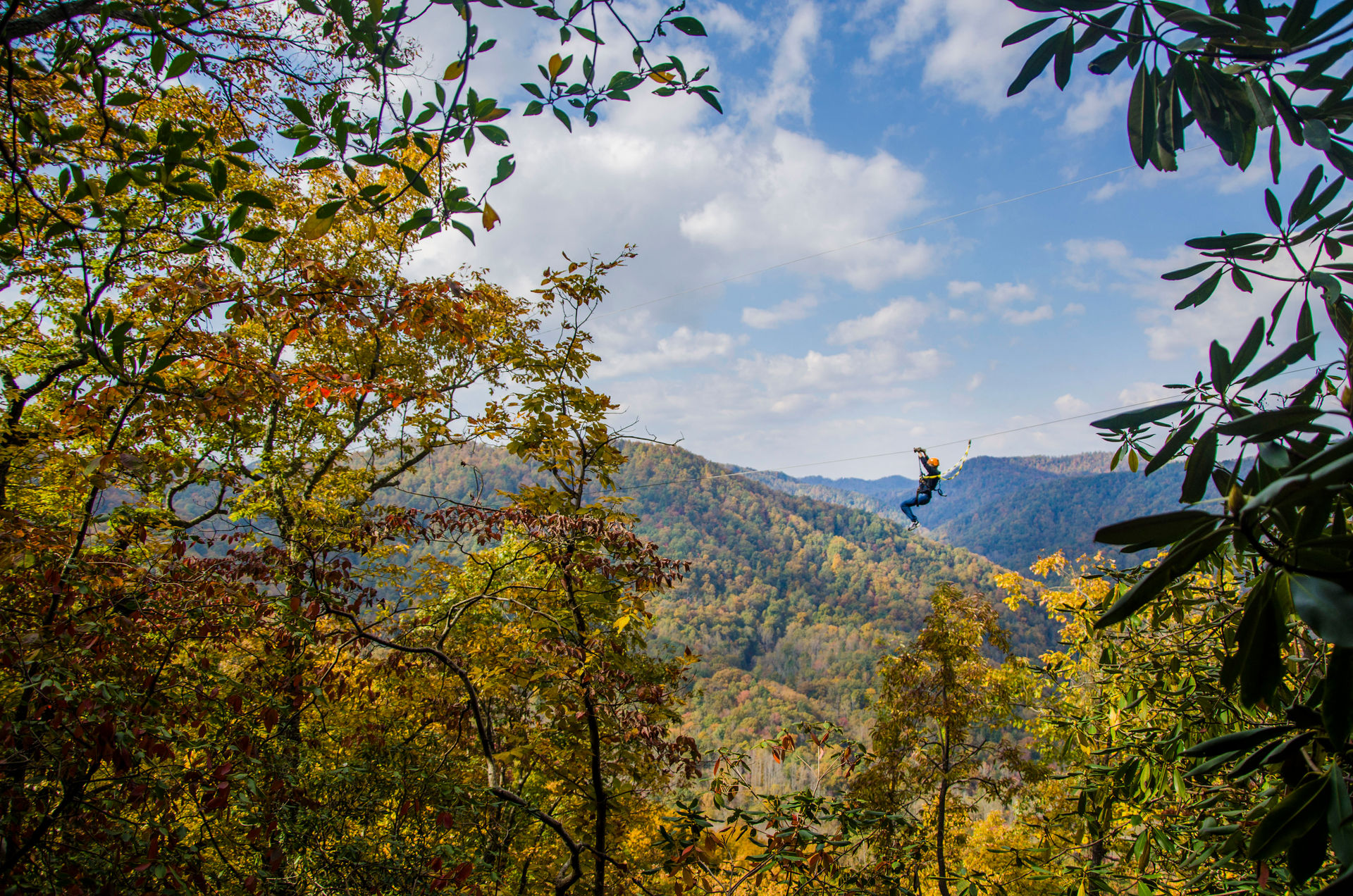 The Gorge Zipline NC: 11 Zips, 3 Rappels, and a Skybridge Canopy Tour image 2
