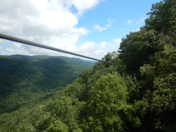 The Gorge Zipline NC: 11 Zips, 3 Rappels, and a Skybridge Canopy Tour image 9