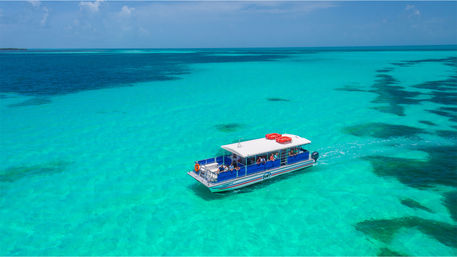 Dolphin Watch & Snorkel Boat Tour image
