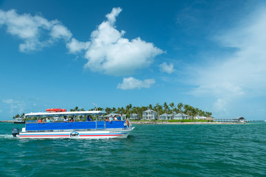 Dolphin Watch & Snorkel Boat Tour image 3