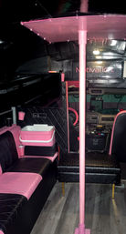 Barbie-Style Epic BYOB Party Bus of Nashville with Stripper Pole and Custom Playlist image 10