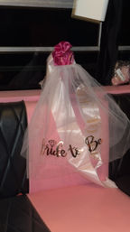 Barbie-Style Epic BYOB Party Bus of Nashville with Stripper Pole and Custom Playlist image 14