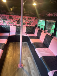 Barbie-Style Epic BYOB Party Bus of Nashville with Stripper Pole and Custom Playlist image