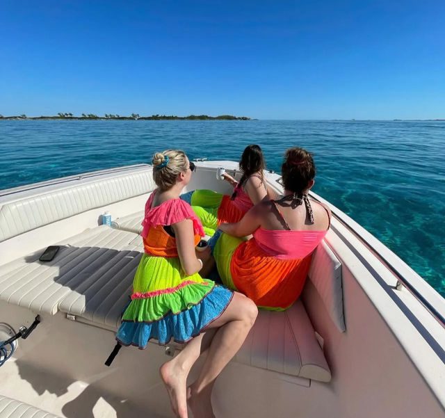 Private Boat Adventure: Completely Customized & Perfect for Small Groups image 4