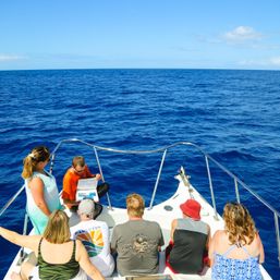 Blue Horizon: Custom Biologist-Led Boat Expedition (BYOB) image 3