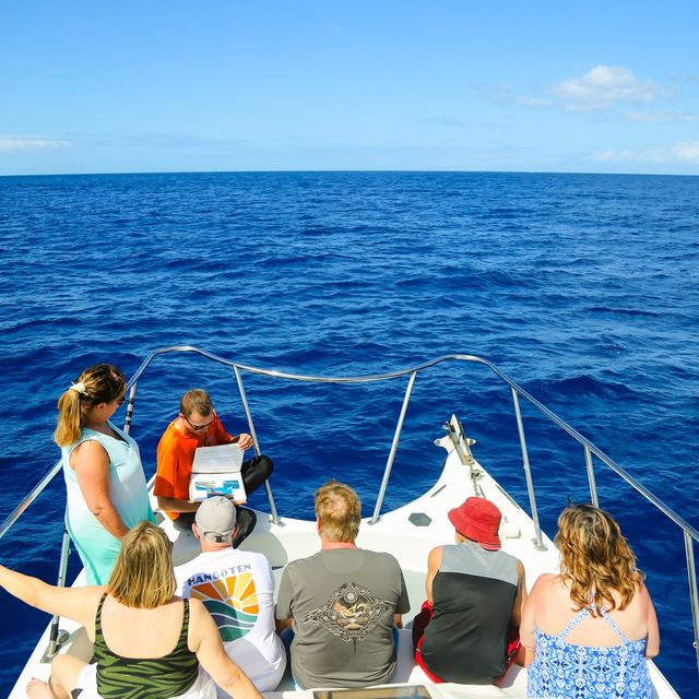 Blue Horizon: Custom Biologist-Led Boat Expedition (BYOB) image 3