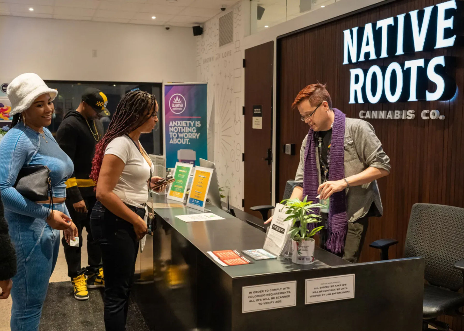 Denver Cannabis Tours: Dispensaries, Grow Houses & High-End Experiences image 1
