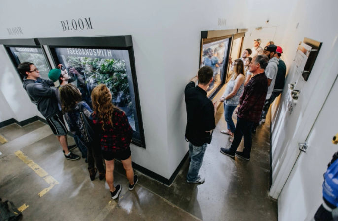 Denver Cannabis Tours: Dispensaries, Grow Houses & High-End Experiences image 4