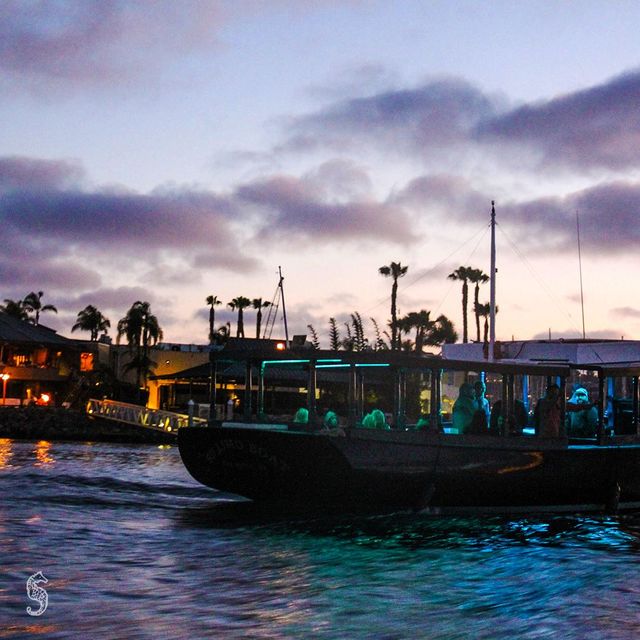 Luxury Limo Boat Charter with Bluetooth Speaker, Color-Changing LED Lights, & More image 4