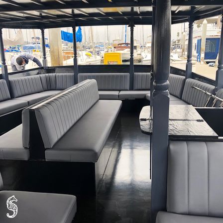 Luxury Limo Boat Charter with Bluetooth Speaker, Color-Changing LED Lights, & More image 8