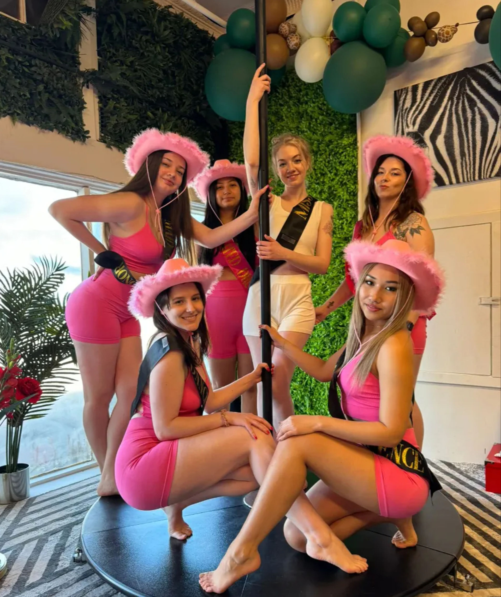 Unforgettable Pole Dance Party Experience image 1