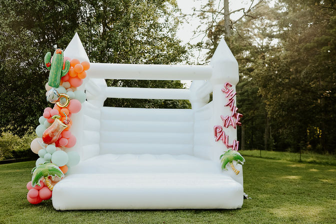Luxury Bounce House Rental by Luxe Bounce image 25