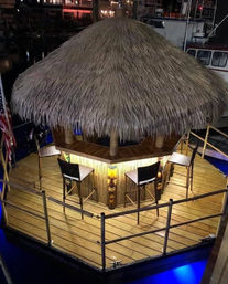 Back Bay Floating Tiki Bar Cruise (BYOB) image 7